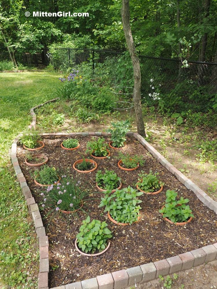 Finished backyard herb garden