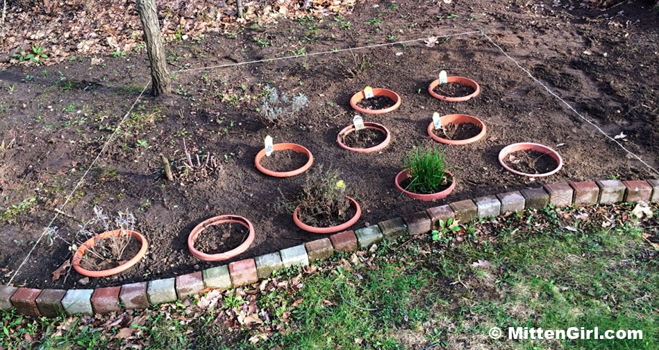 Building a Backyard Herb Garden - Mitten Girl - Kitchen and Cocktail Herbs