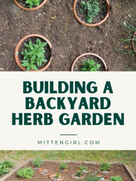 Building a Backyard Herb Garden.