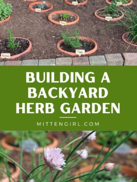 Building a Backyard Herb Garden.