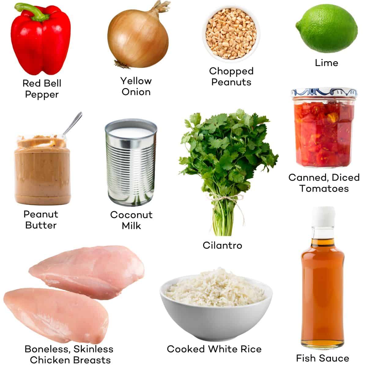Ingredients for Thai Inspired Chicken.