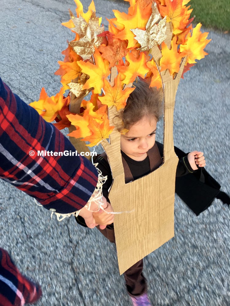 Trick or Treating with a Tree