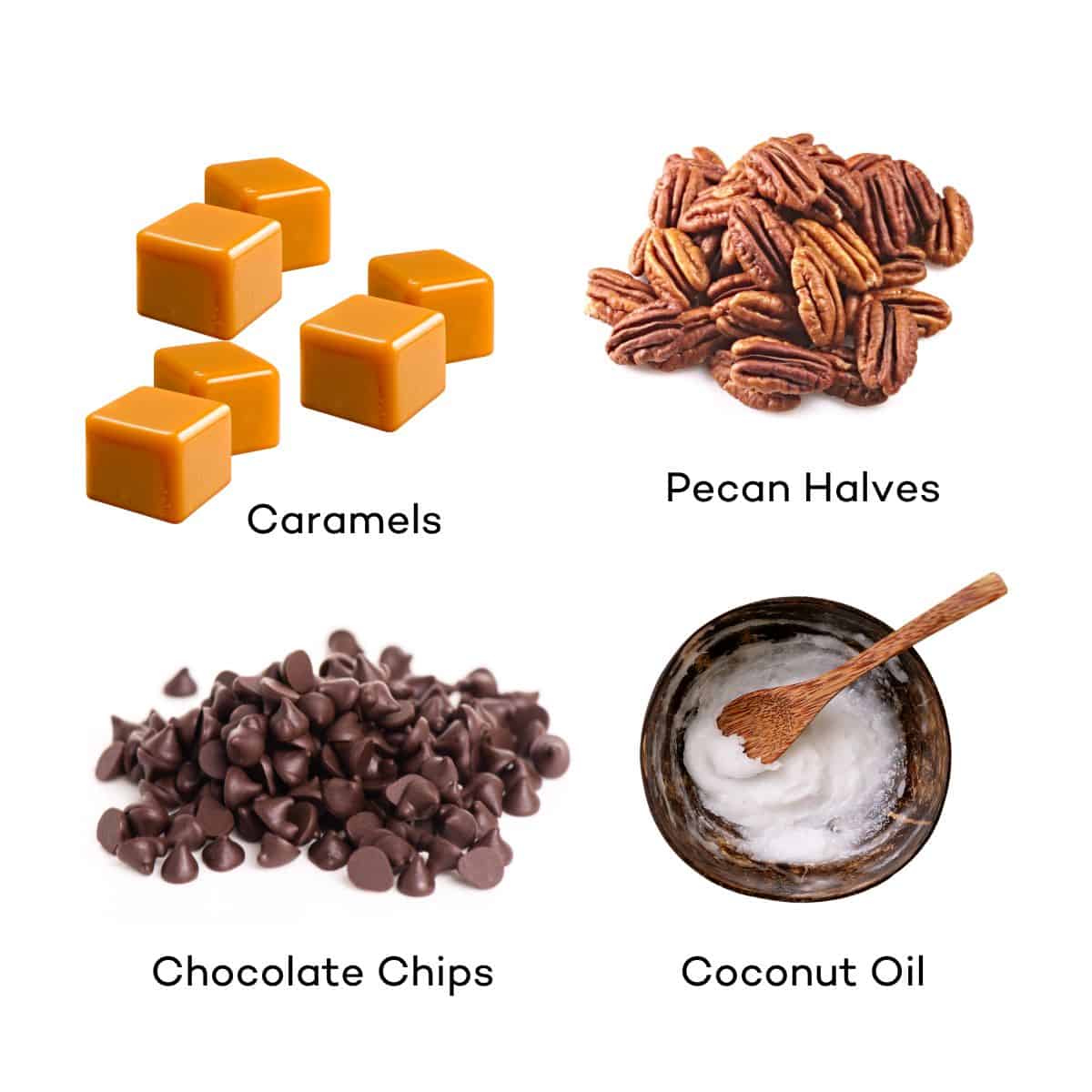Ingredients for Turtle Candies