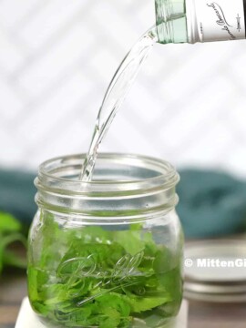 Rum being poured into a jar filled with mint and lime.