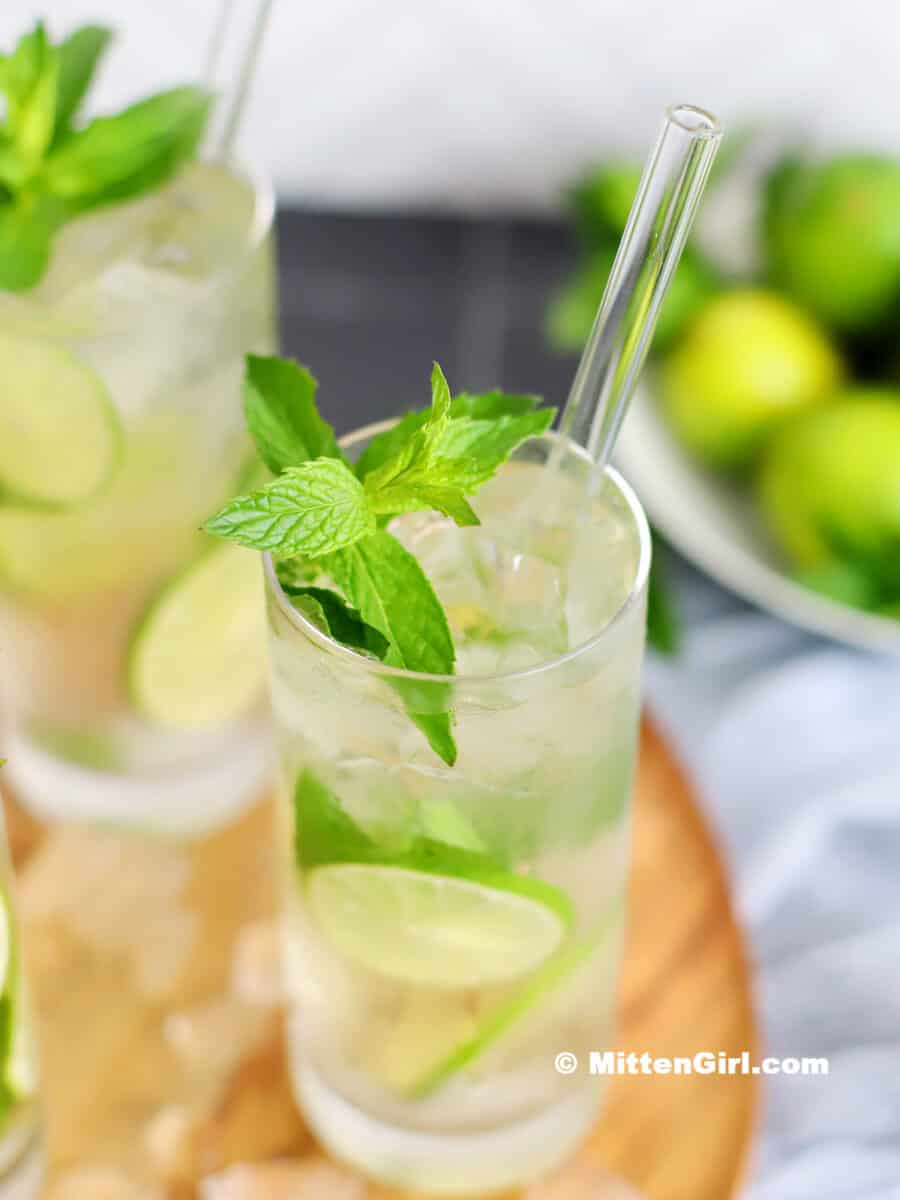 Classic Rum Mojito