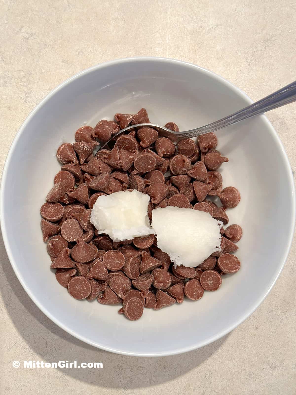 A bowl of chocolate chips and coconut oil.
