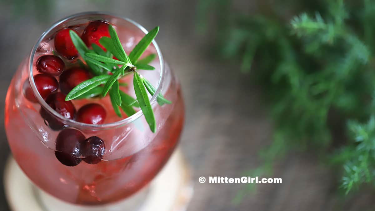 Cranberry Gin Cocktail.