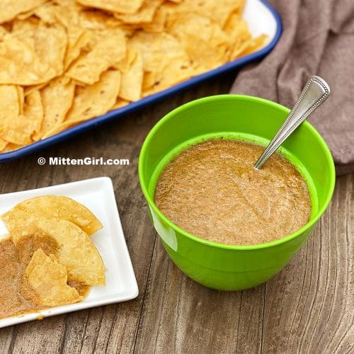 Blender Salsa