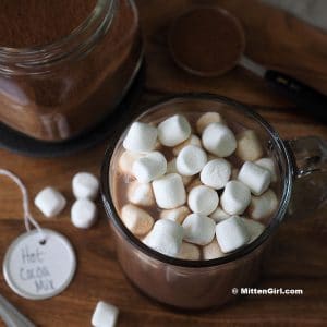 Hot Chocolate Mix