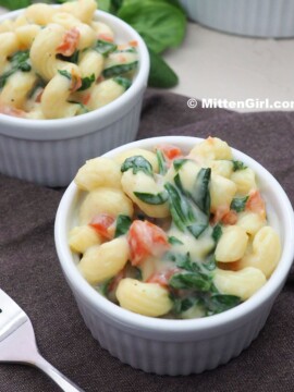 Spinach Dip Pasta