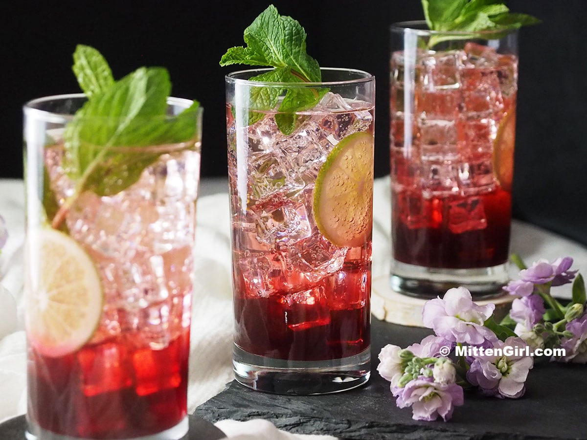 Blackberry Mocktail