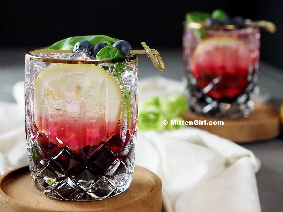 Blueberry Basil Mocktail