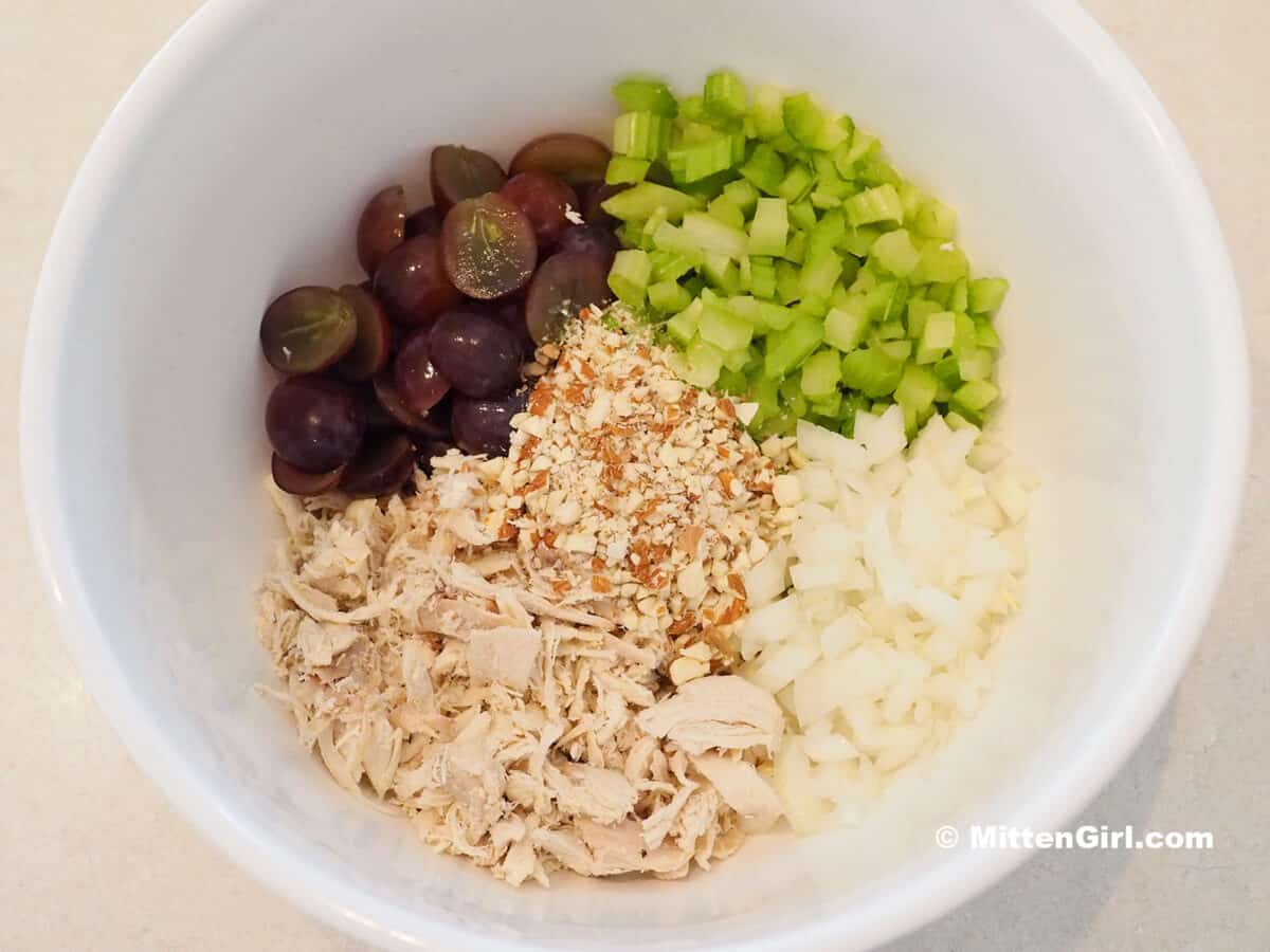 Bowl full of chicken, celery, grapes, onion and almonds