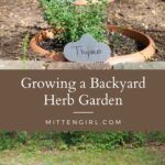 Growing a Backyard Herb Garden
