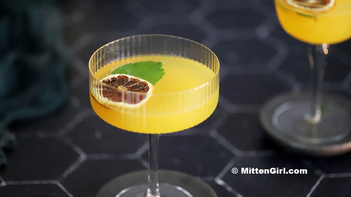 Honey Orange Gin Cocktails