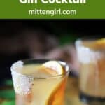 Grapefruit & Elderflower Cocktail