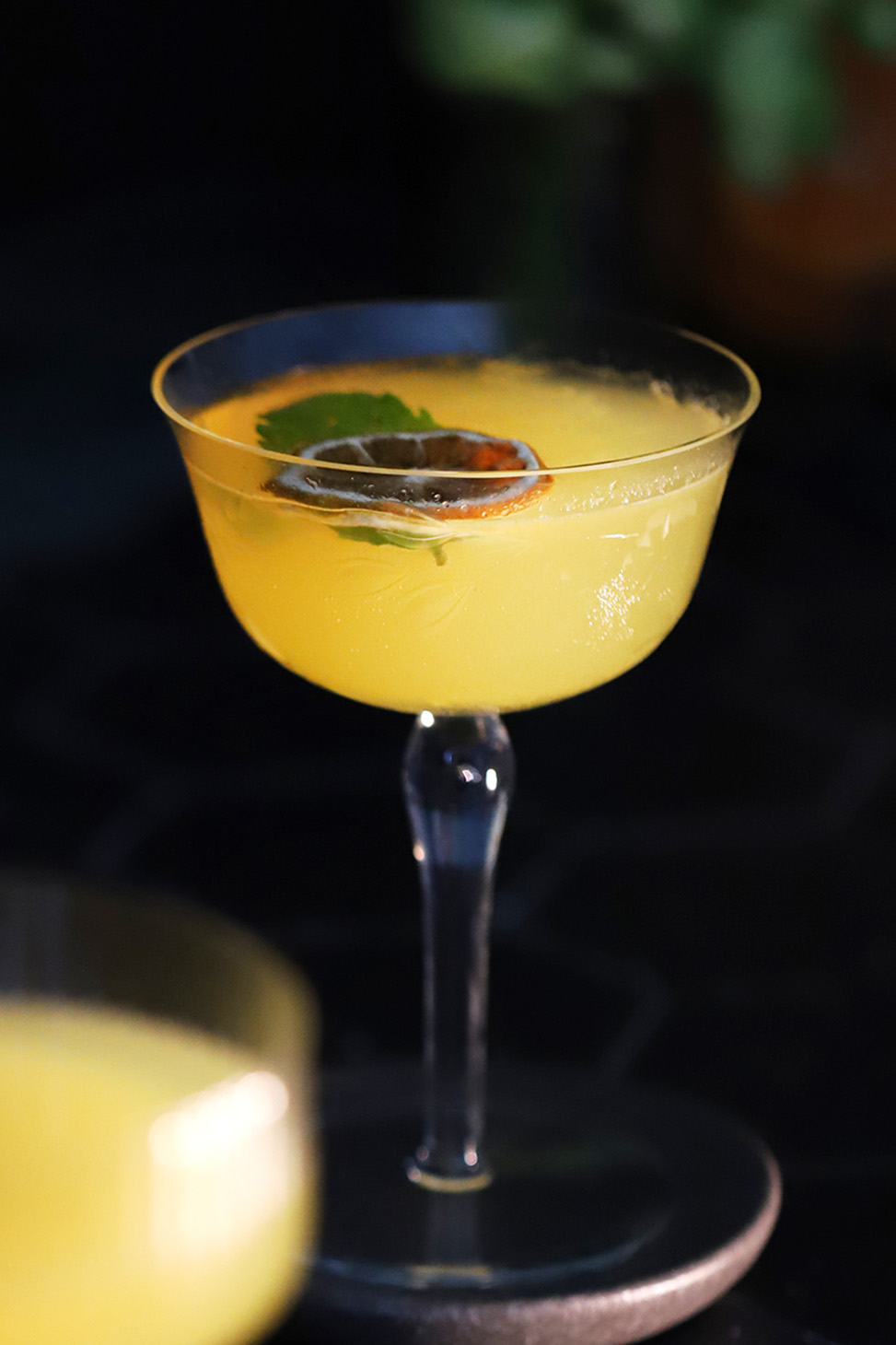 A glass of honey orange gin cocktail garnished with a dehydrated orange slice and mint leaf.