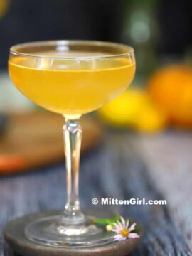 Ginger Pumpkin Martini