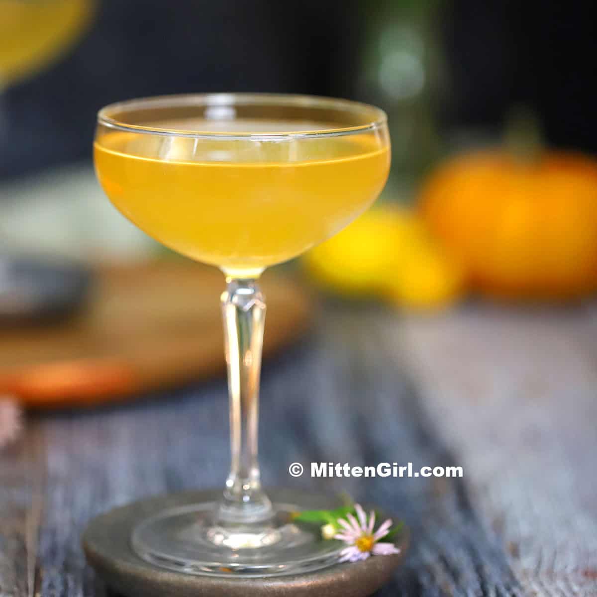 Ginger Pumpkin Martini