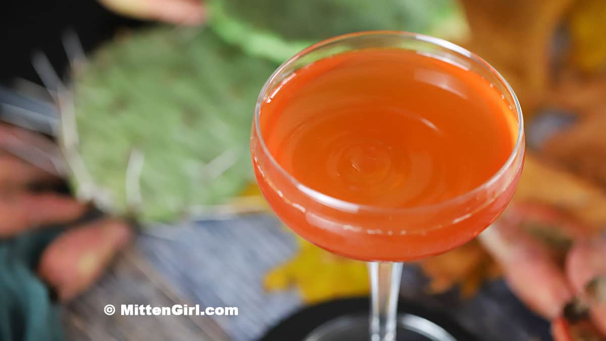 Prickly Pear Fall Cocktail