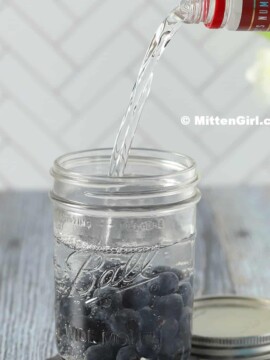 Blueberry infused vodka.