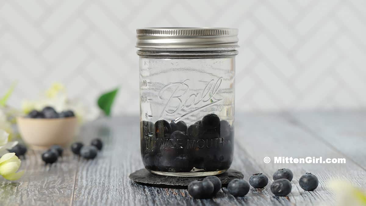 Blueberry Infused Vodka