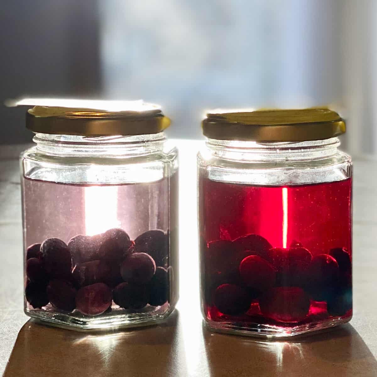 Two jars of blueberry infused vodka. 