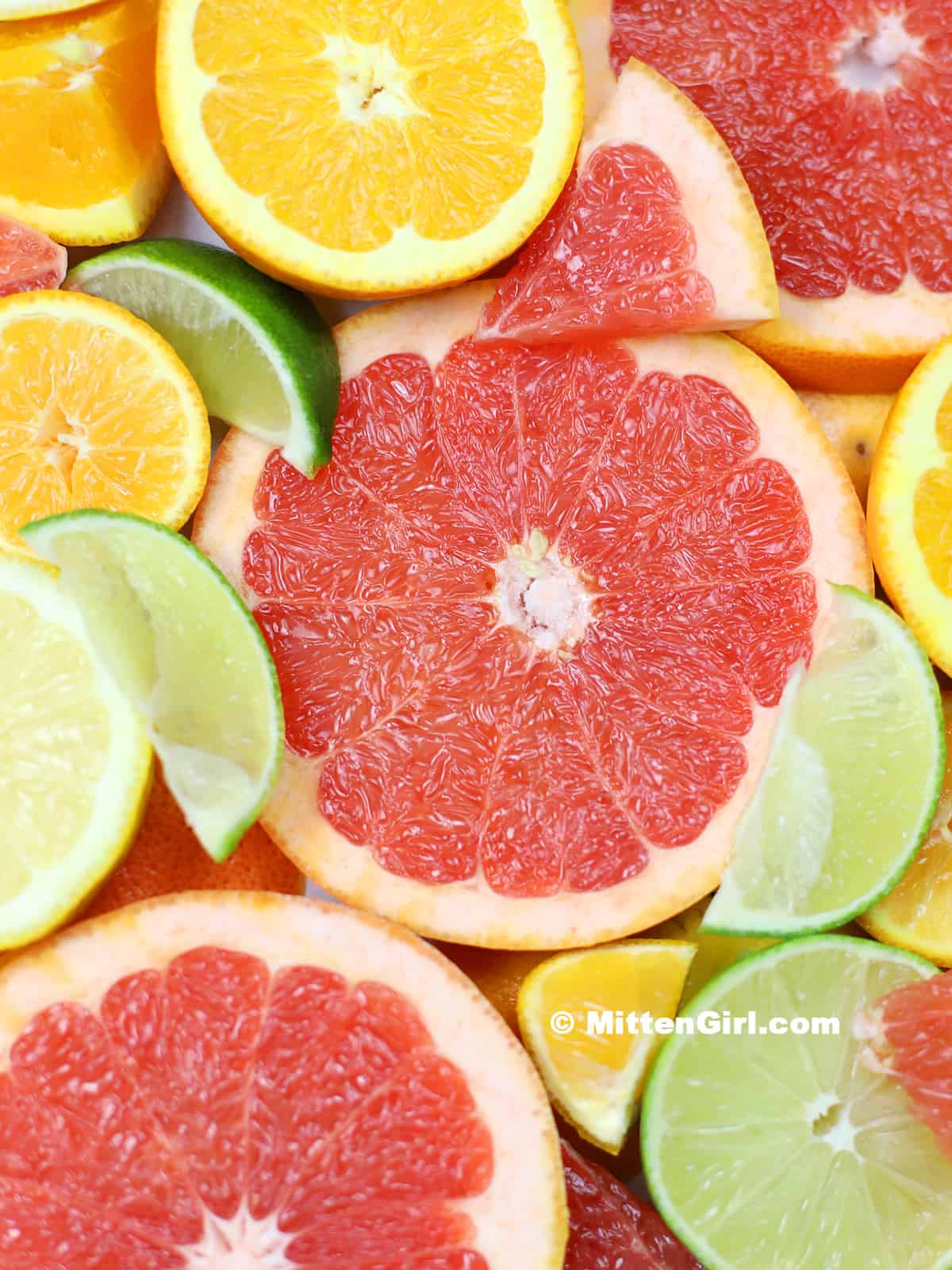 Sliced of grapefruit, lemon, orange and lime.