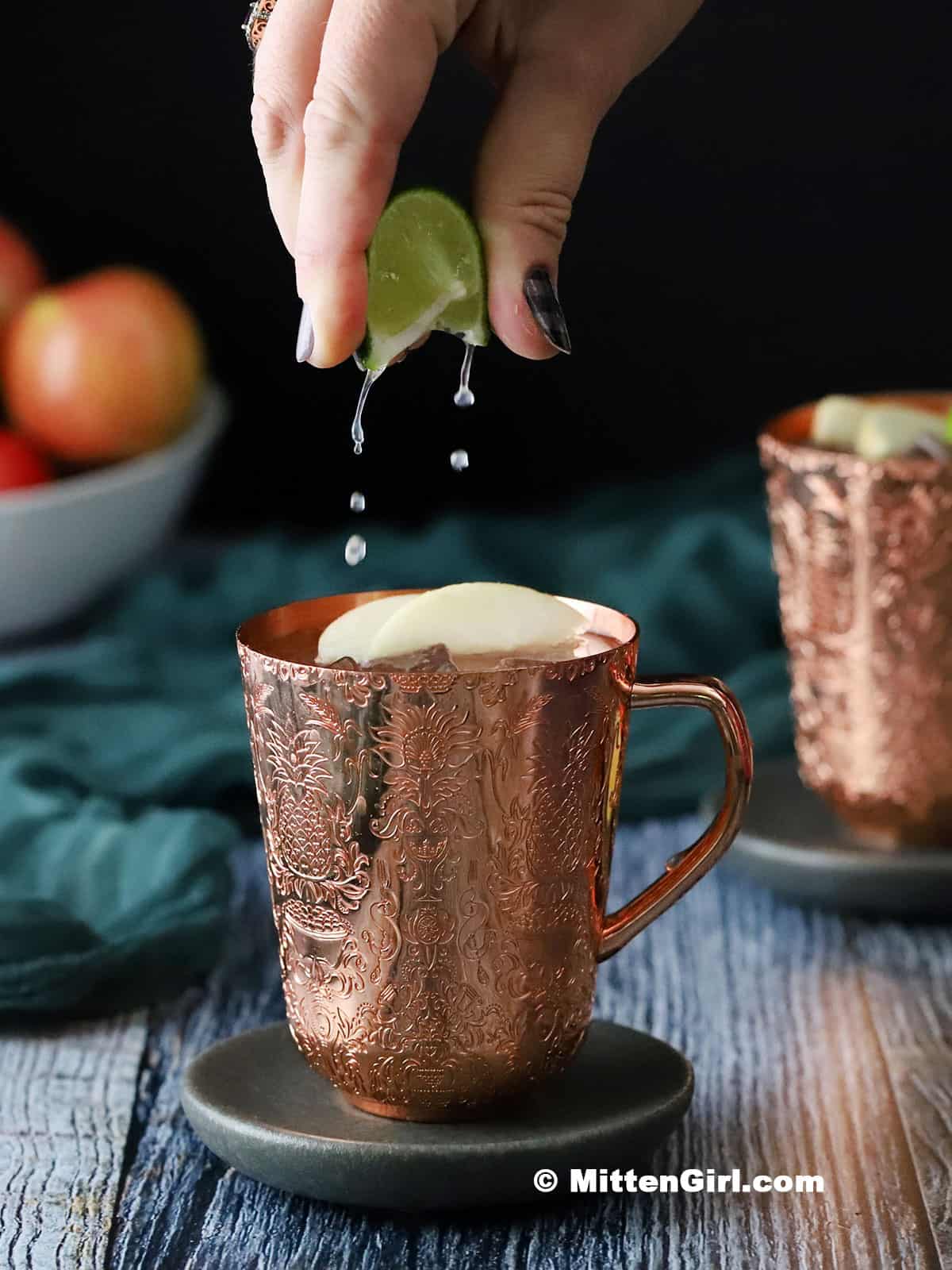 apple-moscow-mules-V