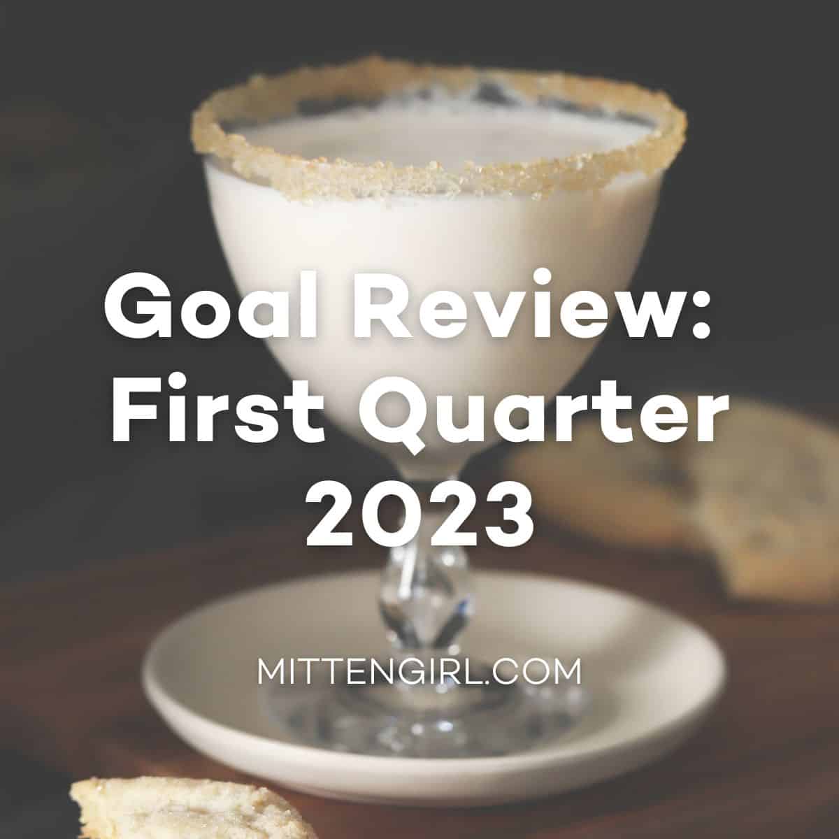 Goal Review: First Quarter 2023.