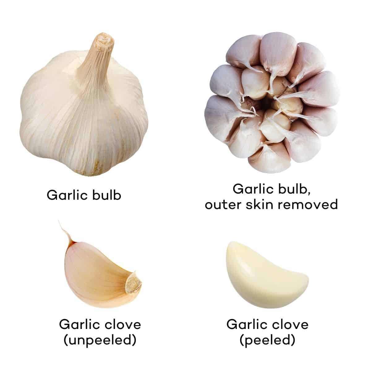 Pictures of garlic bulbs and cloves. 