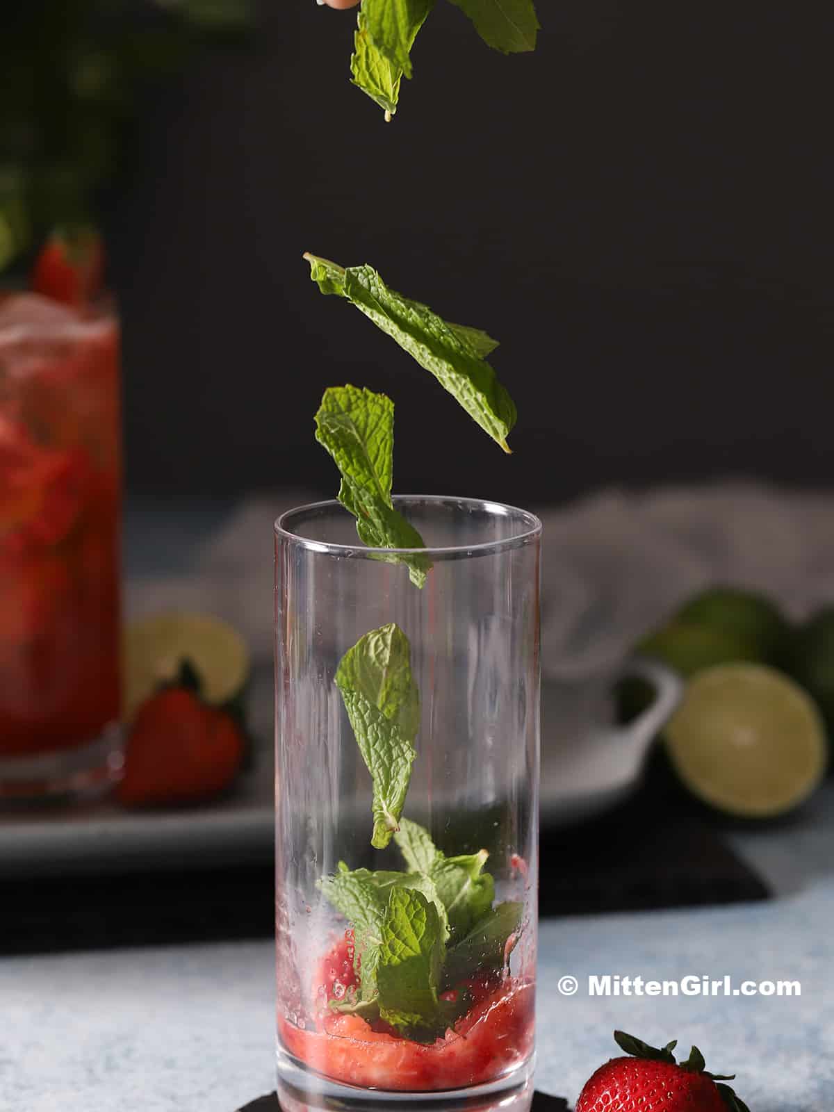 Mint leaves falling into a tall glass.