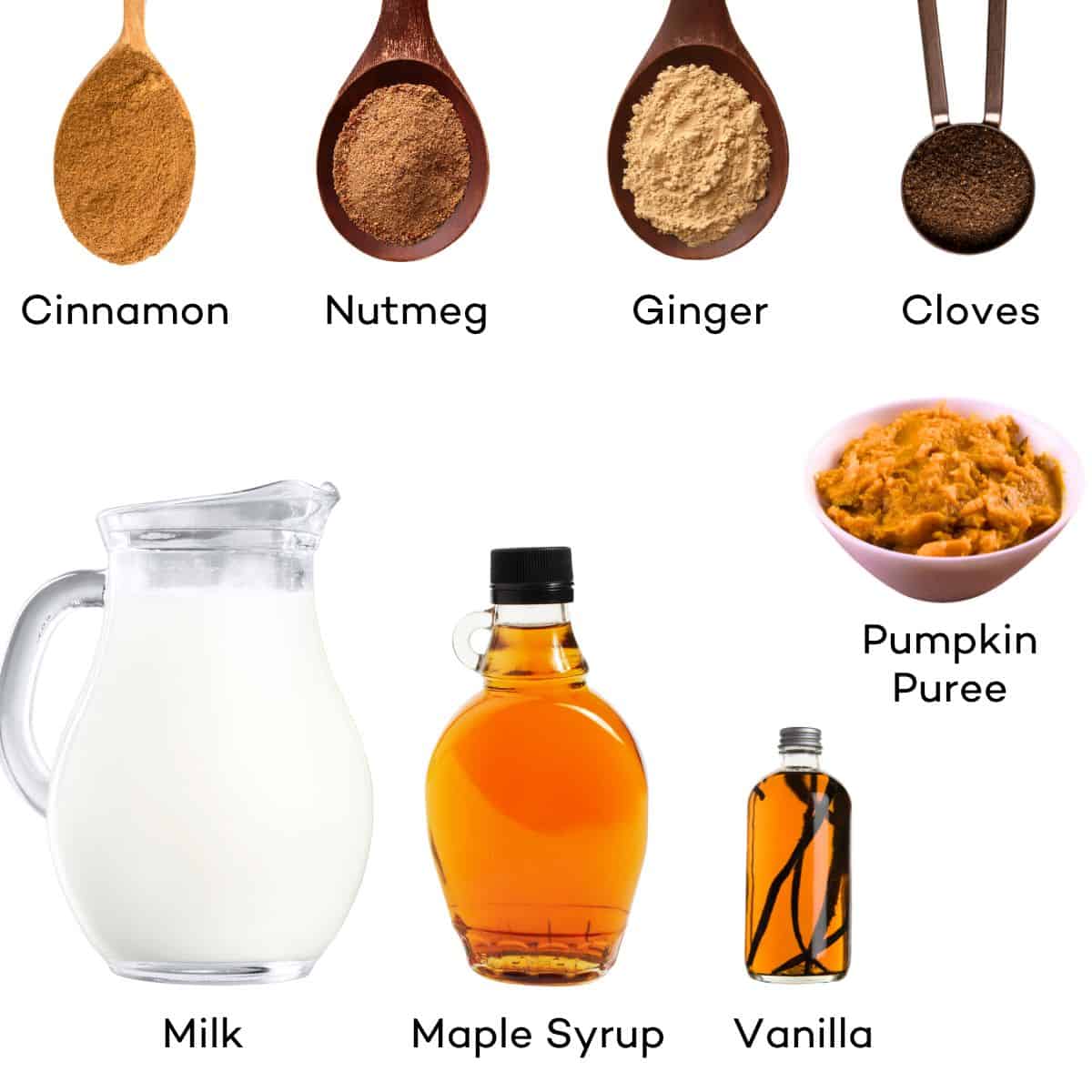 Ingredients for pumpkin spice milk - Milk, maple syrup, vanilla, pumpkin, cinnamon, nutmeg, ginger, cloves. 