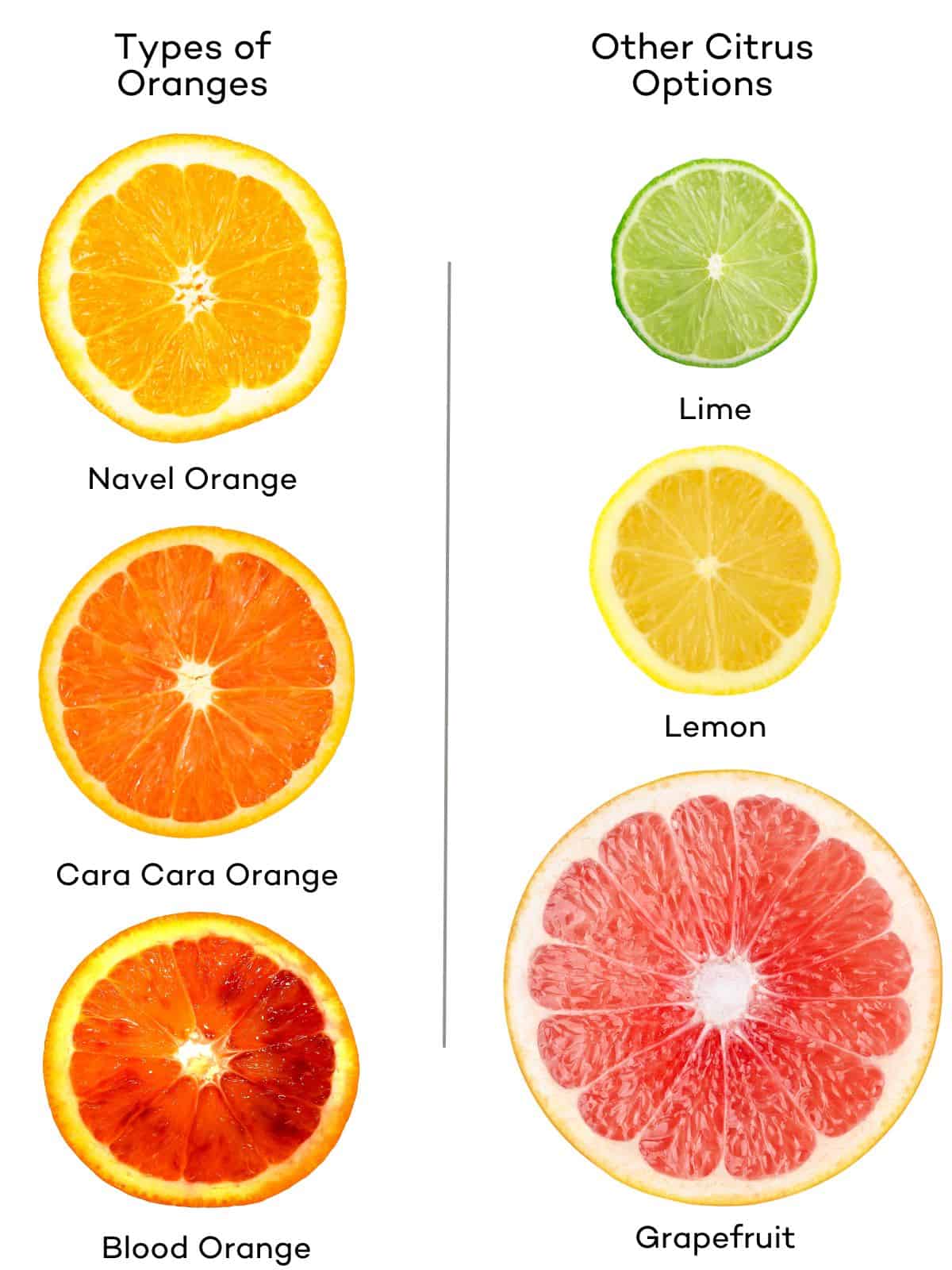 Types of oranges (navel, cara cara, blood) and other citrus (lime, lemon, grapefruit) that can be oven dried. 